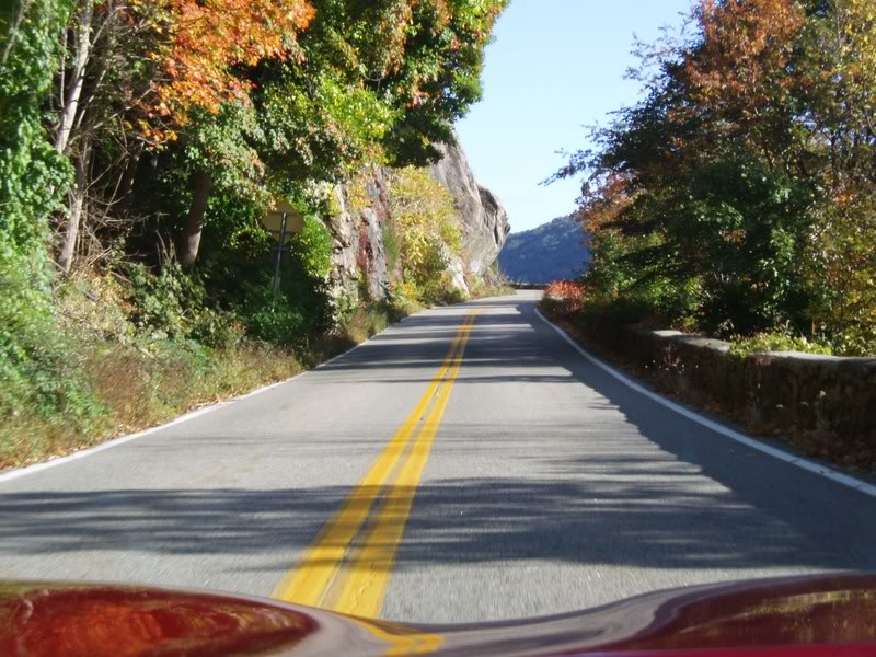 Autumn through Clean Windshield